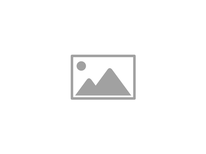 Washington University School of Medicine in St. Louis logo